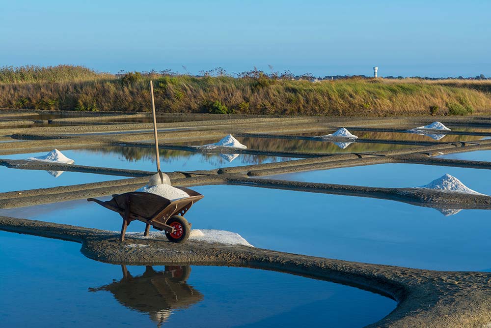 saline-(pexels-jan-van-der-wolf-11680885-17791202) lavorazione dei fanghi alle saline di Cervia